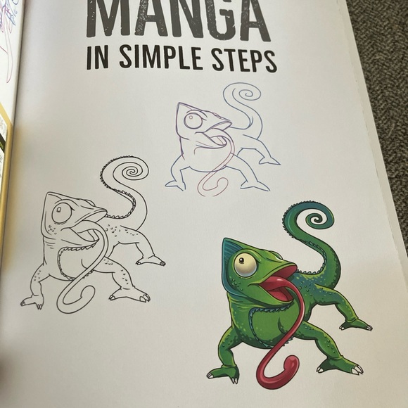 How to draw Manga in simple steps - Picture 10 of 12